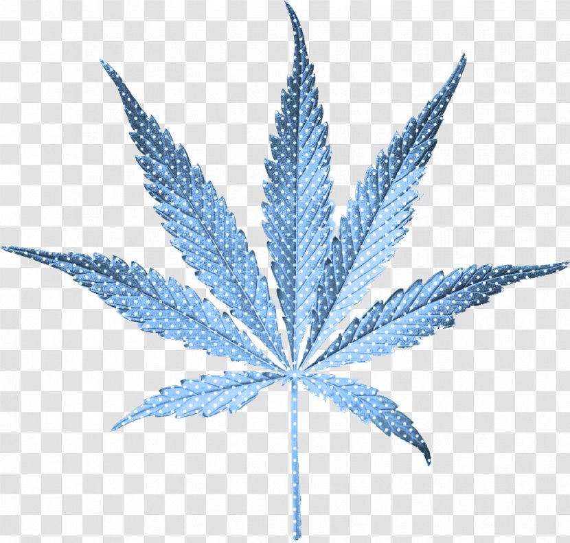 United States Cannabis Smoking Legality Of Medical - Legalization - Marijuana Transparent PNG
