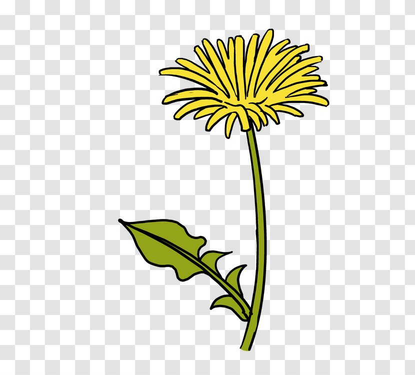 Drawing Sketch Image Cartoon 0 - Doodle - Dandilion Vector Transparent PNG