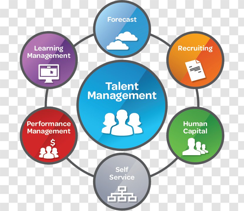 Talent Management System Stambaugh Ness Business Transparent PNG
