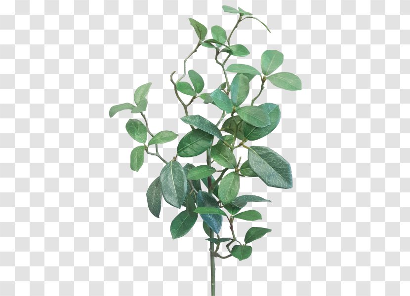 Branch Leaf Gardenia Plant Stem JMC Floral - Wedding Transparent PNG