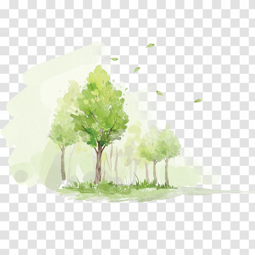 Watercolor Painting Forest - Old Age - Graffiti Grove Transparent PNG