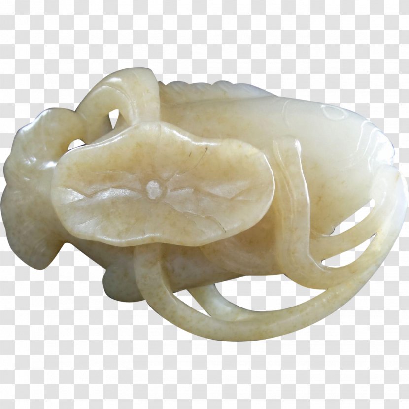 Jaw - Mutton Transparent PNG