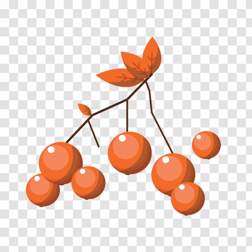 Frutti Di Bosco Euclidean Vector - Cherry - Orange Berries Material Transparent PNG