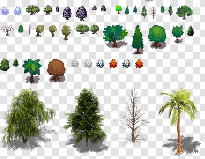 Ecosystem Conifers Tree Evergreen Biome - Pine - Sprite Transparent PNG