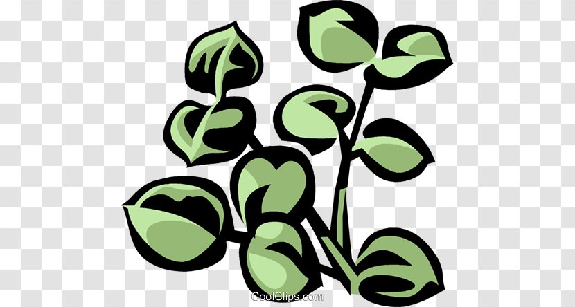 Plant Stem Leaf Flower Clip Art - Flora Transparent PNG