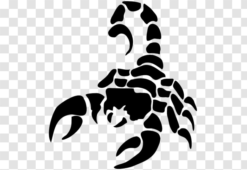 Scorpion Clip Art - Invertebrate - Silhouette Transparent PNG