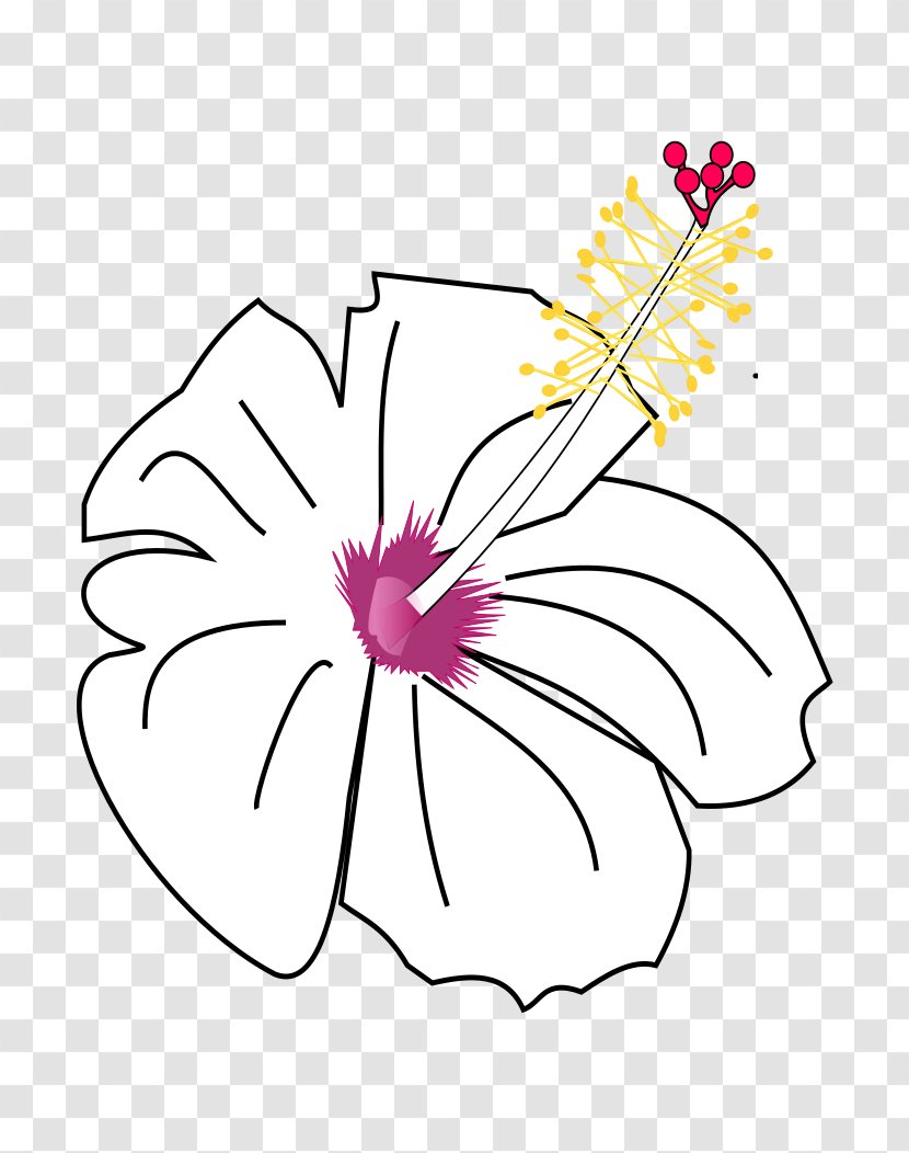 Cut Flowers Mallows Hibiscus - Bud Transparent PNG