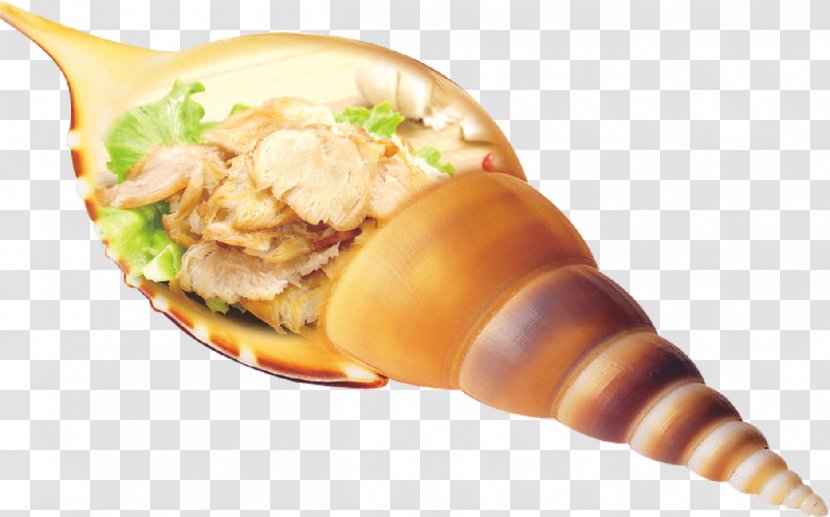Seafood Poster - Agriculture - Conch Transparent PNG
