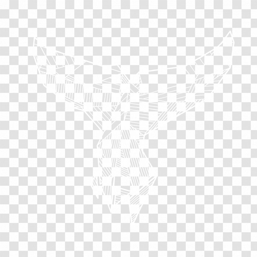 United States Of America Oberösterreich Tourismus Organization Logo Company - Rectangle - Whale Special Talents Transparent PNG