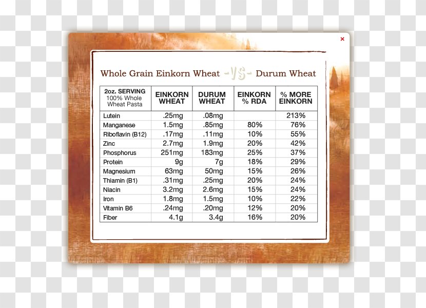 Einkorn Wheat 1950s Glycemic Index Pensacola Nutrition - Area - Whole-wheat Flour Transparent PNG