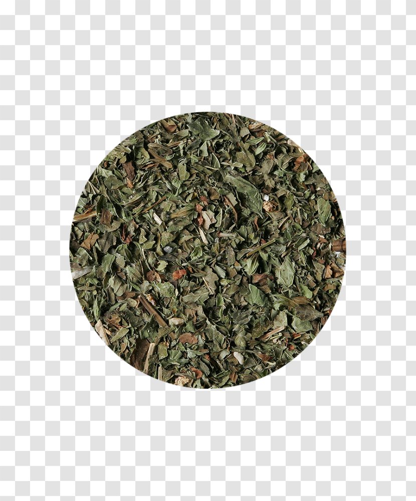 Herbal Tea Sencha Rooibos Military Camouflage - Health Fitness And Wellness Transparent PNG