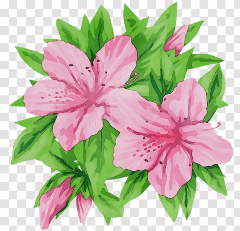 Flower Pink Petal Plant Peruvian Lily - Wet Ink - Stargazer Cut Flowers Transparent PNG
