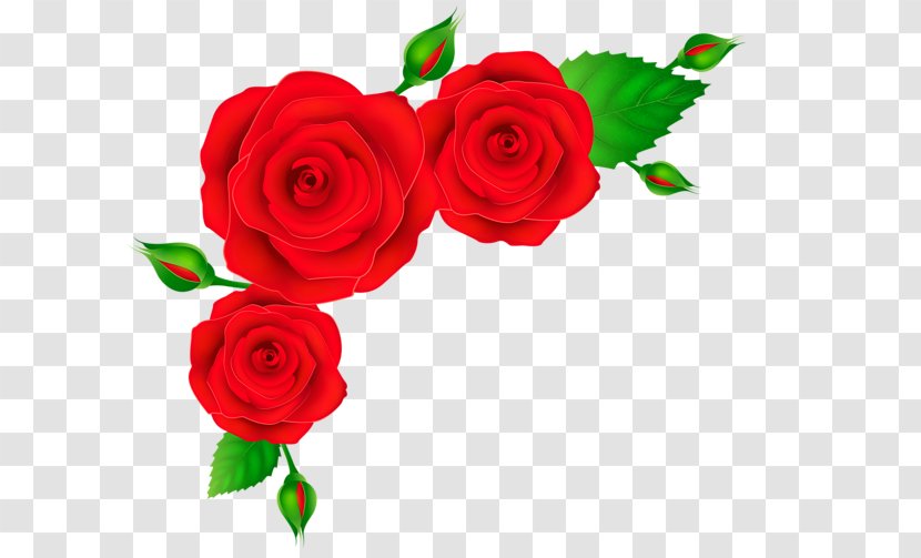 Rose Red Clip Art - Flower Arranging - Border Transparent PNG