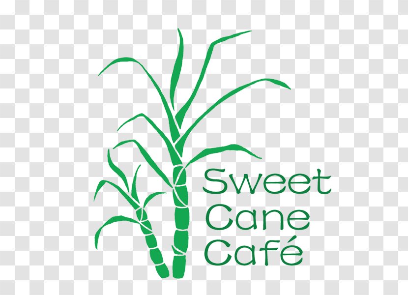 Sweet Cane Cafe Logo Leaf Font - Grass Family Transparent PNG