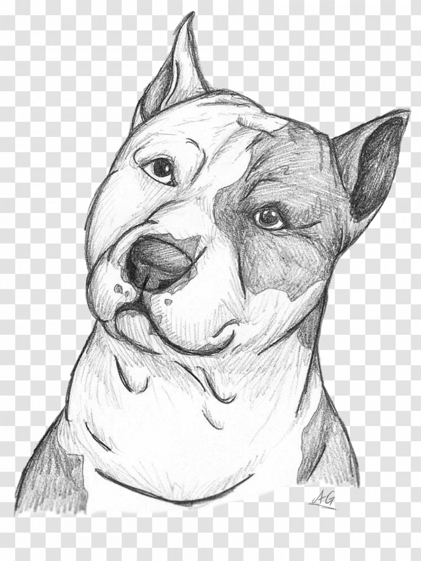 Dog Breed American Pit Bull Terrier Staffordshire Sketch - Line Art Transparent PNG