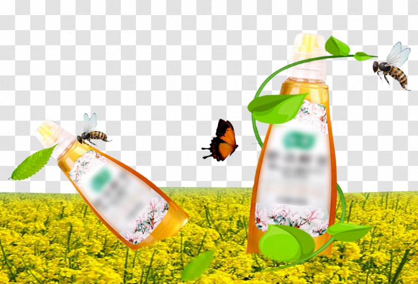 Honey Designer - Heart - Natural Transparent PNG
