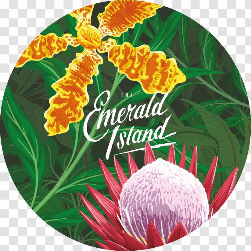 Emerald Island Extended Play Phonograph Record The Shocking Miss Picture Disc - Tree Transparent PNG