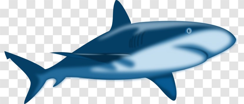 Shark Jaws Free Content Clip Art - Whales Dolphins And Porpoises - Images Transparent PNG