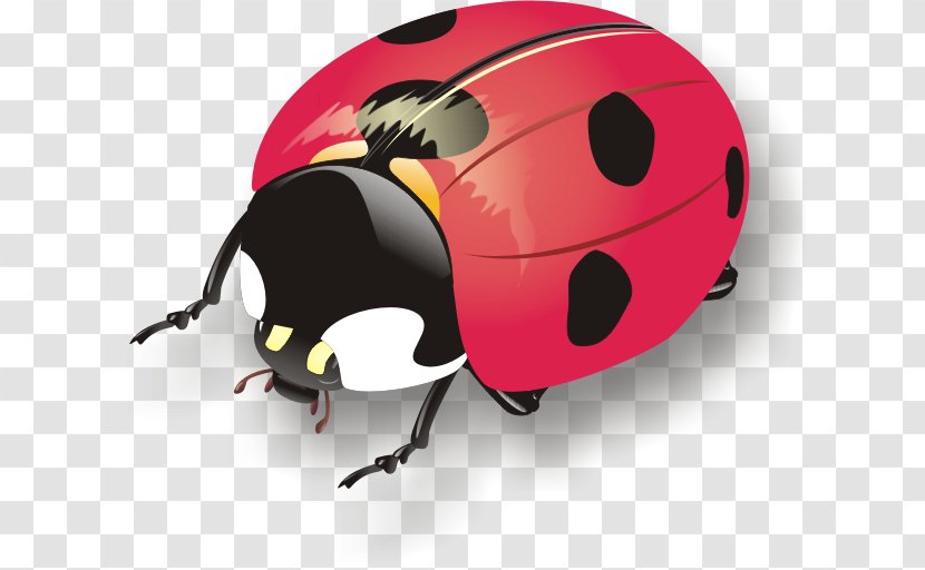 Ladybird Beetle Bicycle Helmets Ski & Snowboard - Membrane Winged Insect Transparent PNG