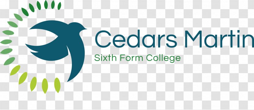The Cedars Academy Beauchamp College Sixth Form National Secondary School - Cedar Transparent PNG