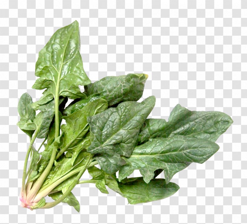 Smoothie Chard Salad Sorrel Food - Vegetable Transparent PNG