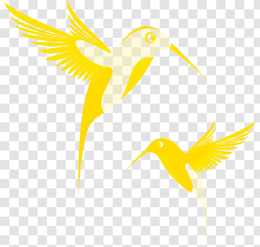 Hummingbird Clip Art Email - Yellow - Humming Bird Transparent PNG
