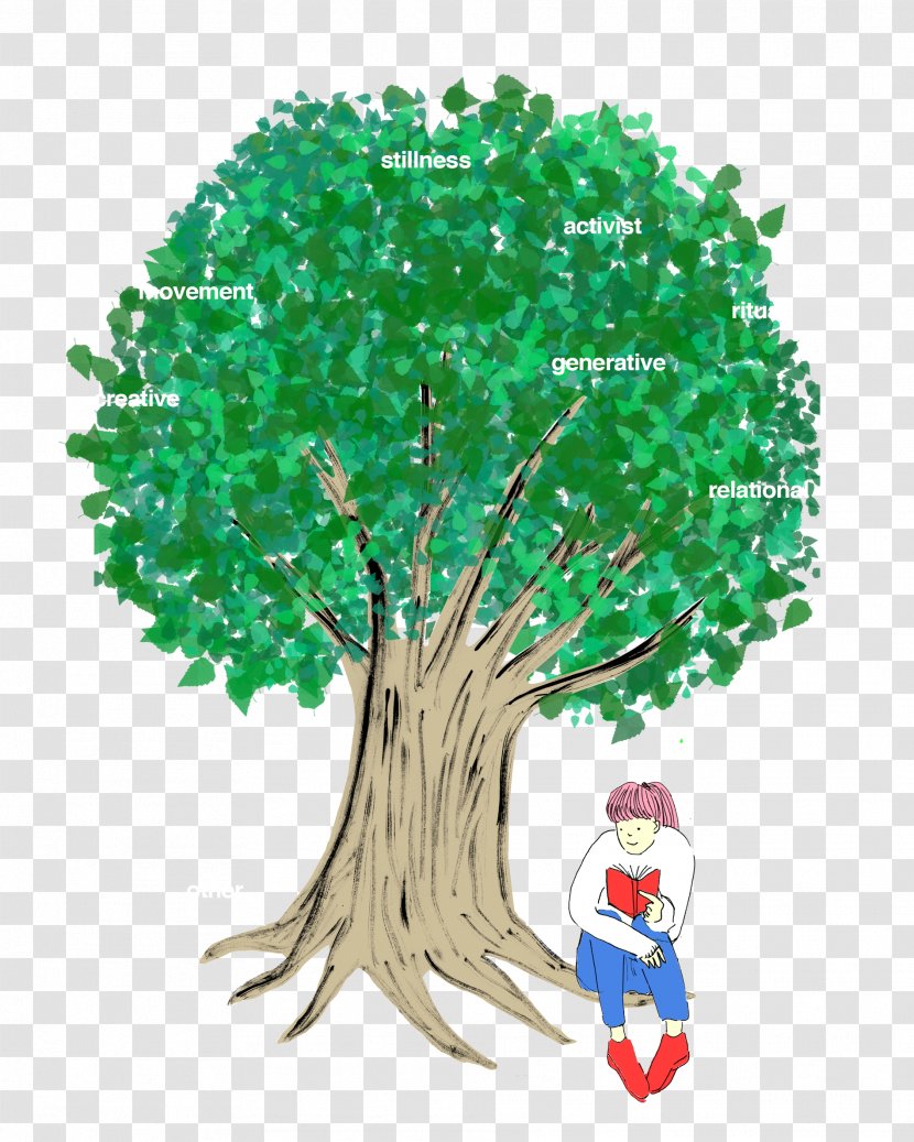 Tree - Plant - Woody Transparent PNG