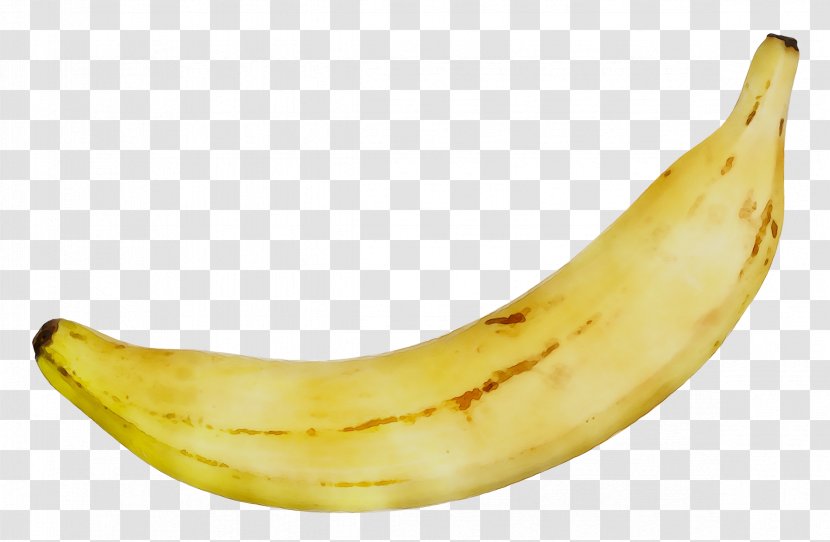 Cooking Banana Fruit Food Vegetable - Banan - Family Transparent PNG