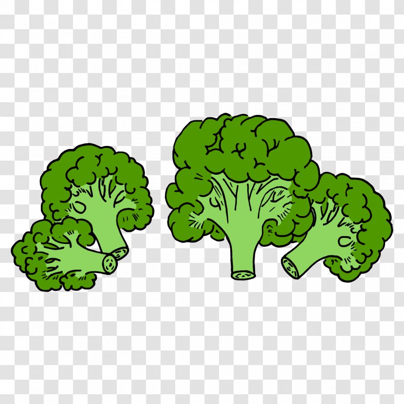 Broccoli Vegetable - Shading - Green Cauliflower Transparent PNG