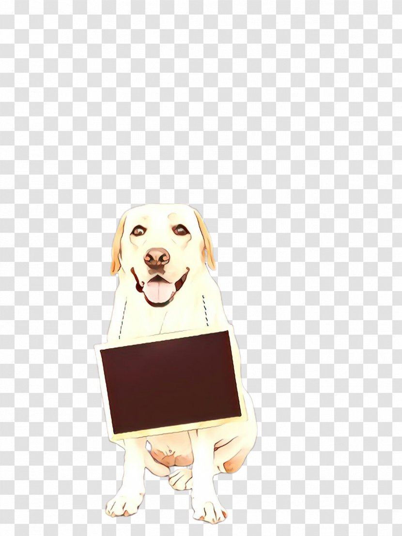 Golden Retriever Background - Beige - Fawn Transparent PNG