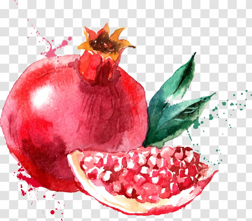 Watercolor Painting Fruit Drawing - Accessory Transparent PNG