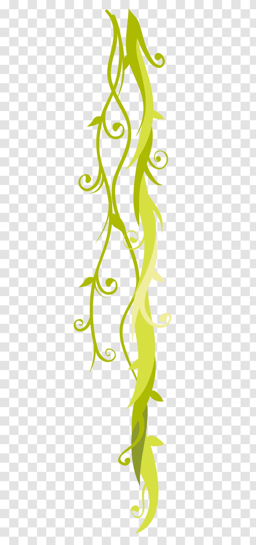 Graphic Design Line Art Leaf Clip - Plant Stem - Diana Monkey Transparent PNG