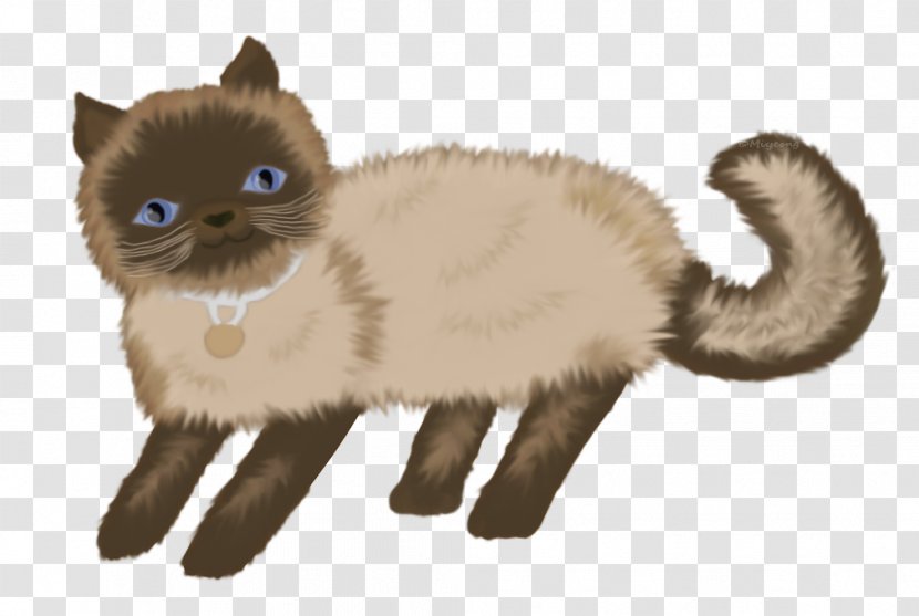 Whiskers Kitten Himalayan Cat Domestic Short-haired Fur - Fauna Transparent PNG