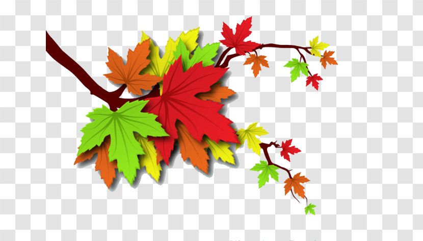 Autumn Leaves Leaf Illustration Transparent PNG