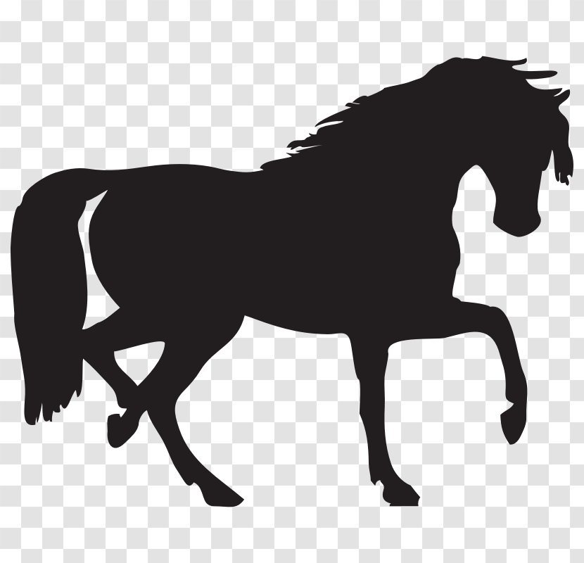 Arabian Horse Silhouette Clip Art - Drawing - Of A Transparent PNG