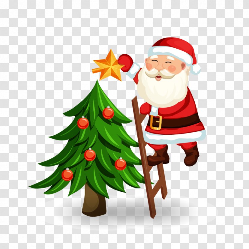 Santa Claus Decorating A Christmas Tree - Fir Transparent PNG