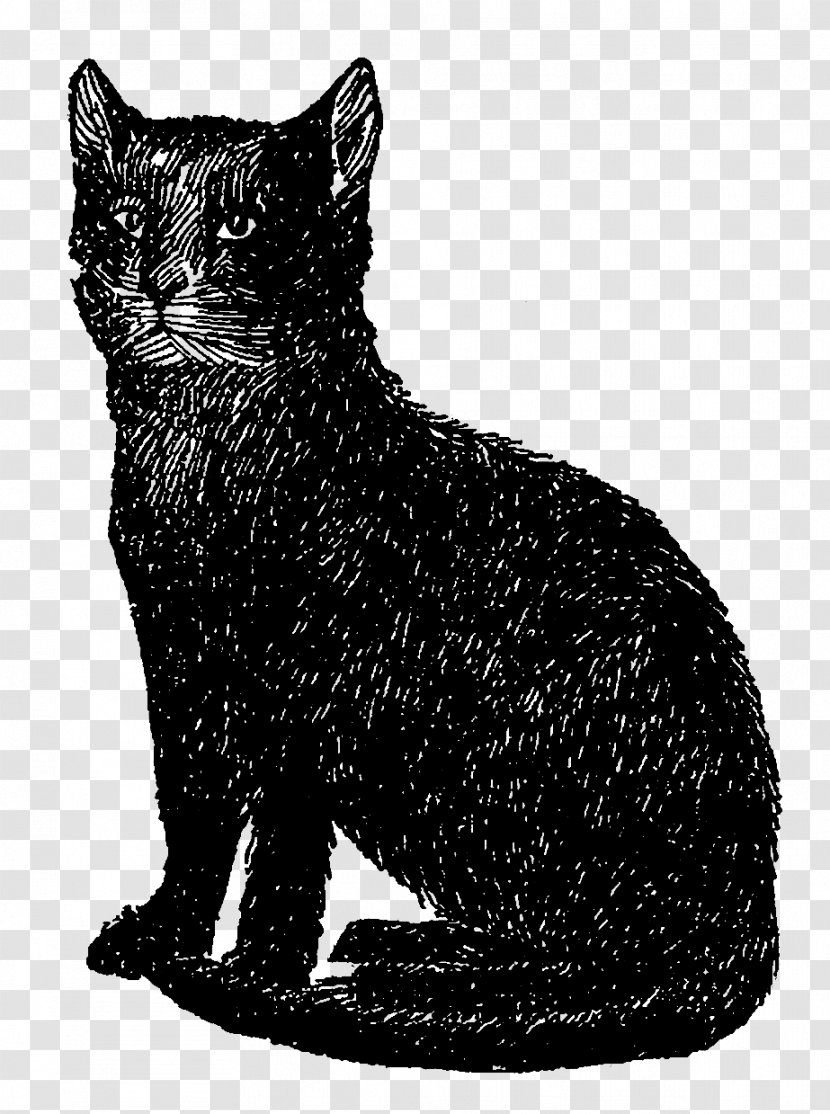Black Cat Kitten Clip Art - Mammal Transparent PNG