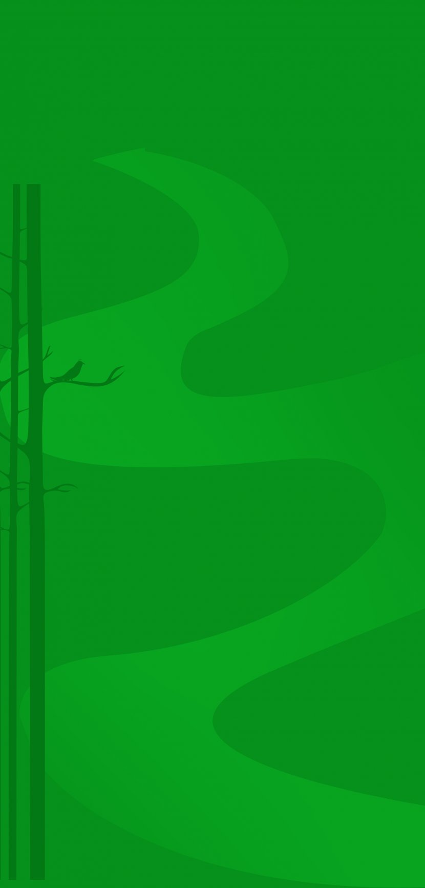Green Wallpaper - Computer - Background Transparent PNG