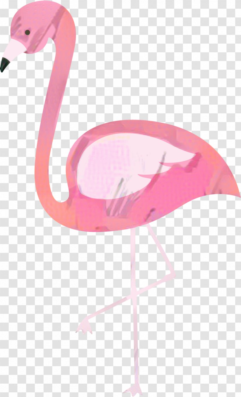 Pink Flamingo - Ciconiiformes - Stork Transparent PNG