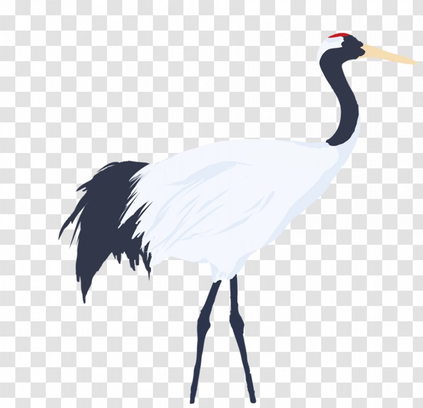 White Stork Bird Beak Neck Wing Transparent PNG
