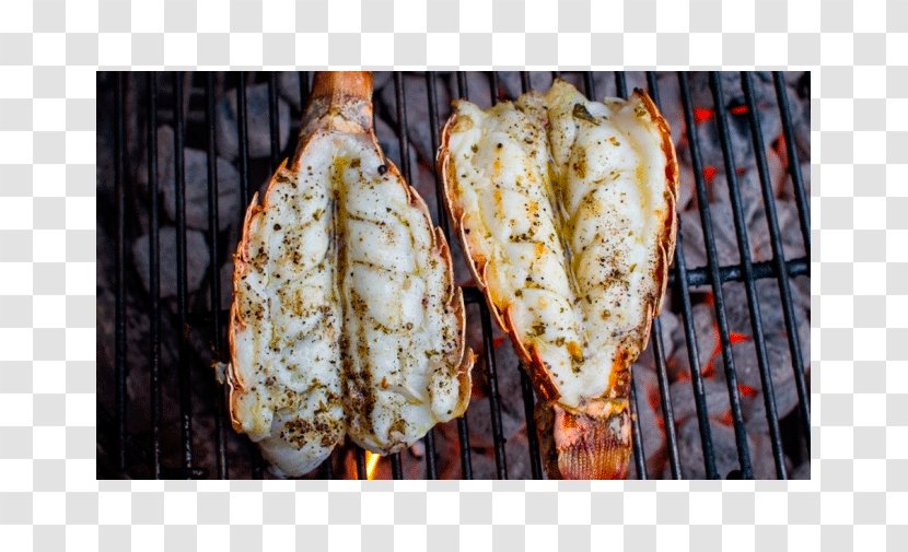 How To Grill: The Complete Illustrated Book Of Barbecue Technique Recipe Grilling Seafood - Meat Transparent PNG
