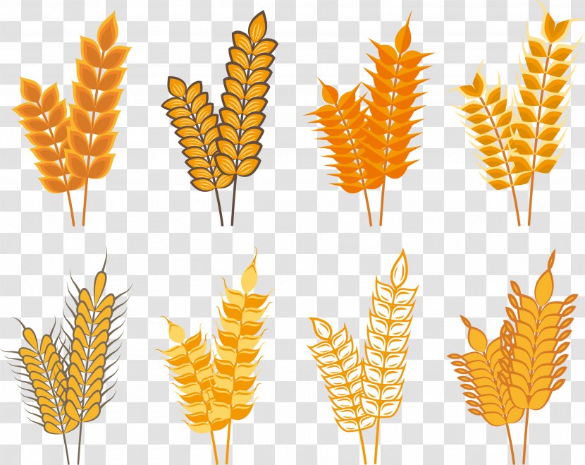 Oat Rice Cereal Icon - Golden Autumn Transparent PNG