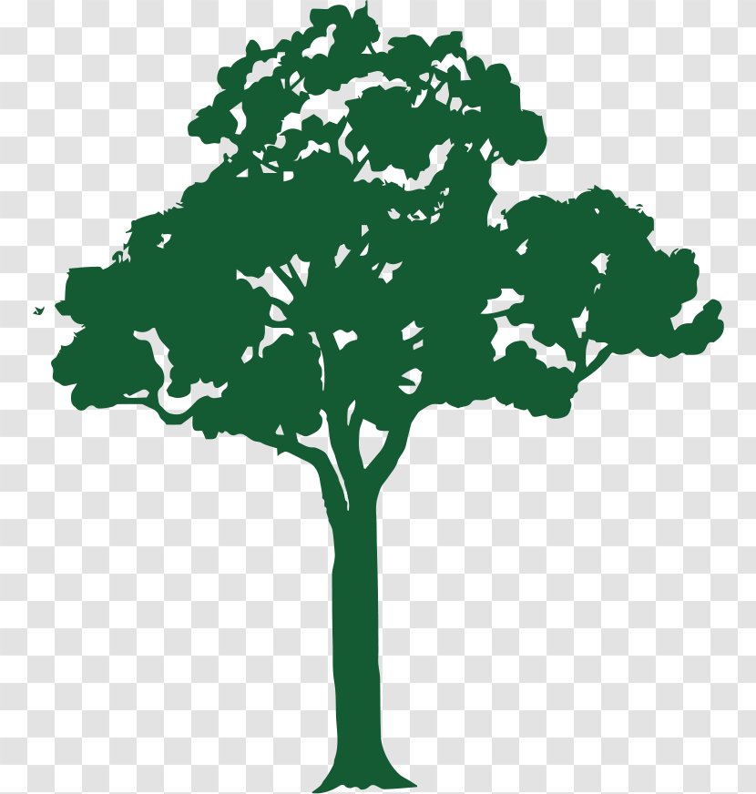 Branch Tree Vector Graphics Clip Art Royalty-free - Plant Transparent PNG