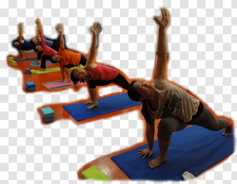 Teacher Education Yoga Curriculum - Arts - Teaching Transparent PNG