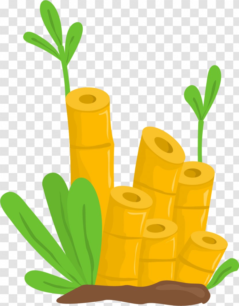 Bamboo - Grass Family - Yellow Tender Transparent PNG