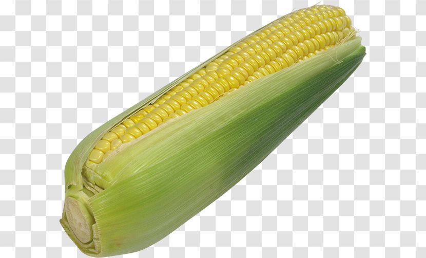 Corn On The Cob Popcorn Maize Kernel - Kernels Transparent PNG