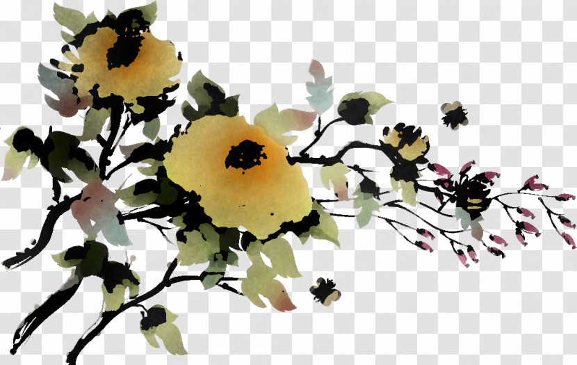 Chrysanthemum Chrysanths Transparent PNG