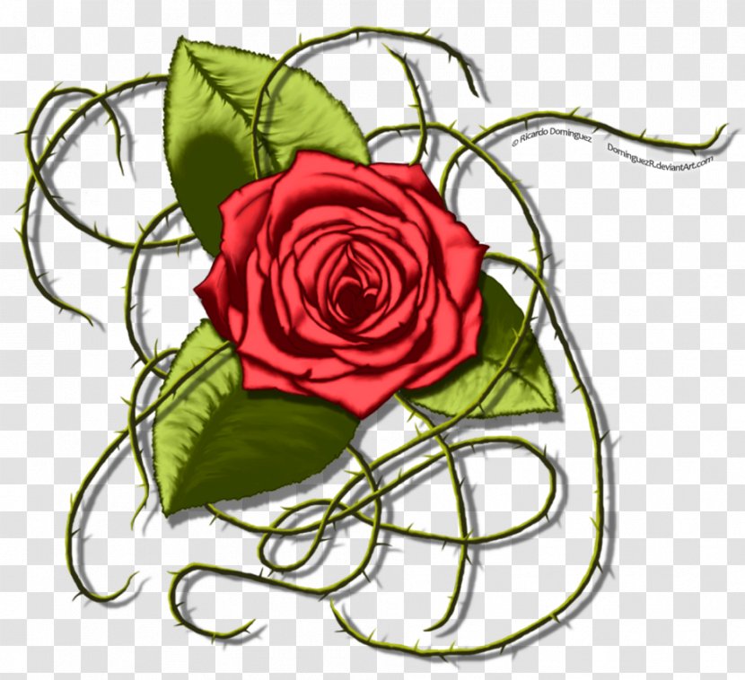 Floral Design Garden Roses Cabbage Rose Cut Flowers Flower Bouquet - M Group Transparent PNG