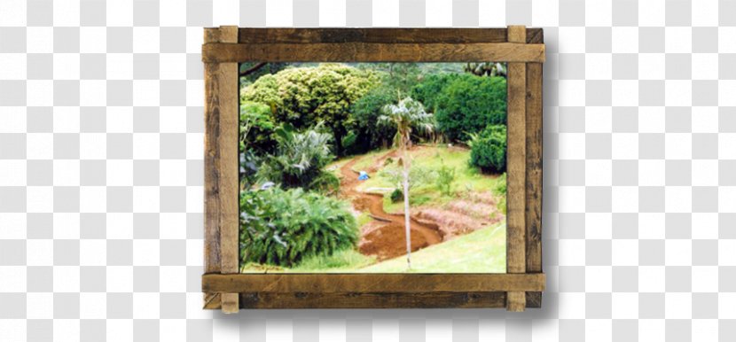 Colchester Gardening Wood Picture Frames /m/083vt - Botanical Leaves Transparent PNG