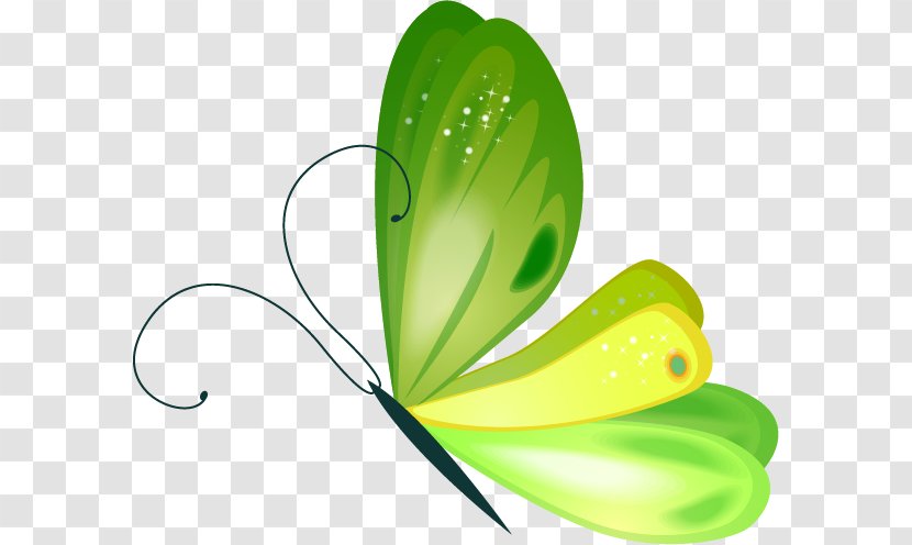 Butterfly Image Clip Art Illustration - Green - Butterflies Cartoon Transparent PNG
